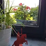 Au Petit Dragon