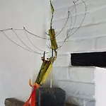 לינה וארוחת בוקר Au Petit Dragon