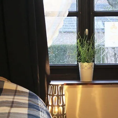 Bed & Breakfast Au Petit Dragon Bergen